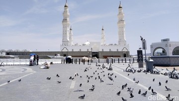 Jemaah Haji Bakal Difasilitasi Tur di Madinah, Tak Ada Biaya Tambahan