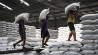 Stok Beras Melimpah! Pemerintah Punya 4,15 Juta Ton di Gudang Bulog