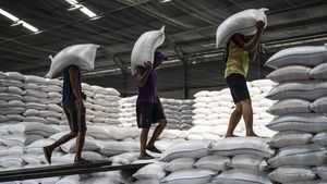 Stok Beras Melimpah! Pemerintah Punya 4,15 Juta Ton di Gudang Bulog