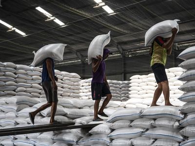 Stok Beras Melimpah! Pemerintah Punya 4,15 Juta Ton di Gudang Bulog