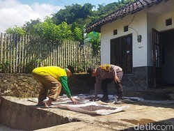 Bhabinkamtimbas Bantu Tingkatkan Produksi Jagung Petani di Kota Batu