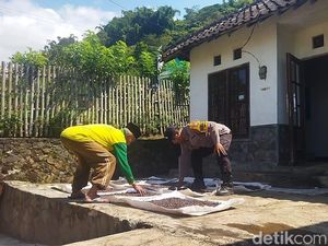 Bhabinkamtimbas Bantu Tingkatkan Produksi Jagung Petani di Kota Batu Bhabinkamtimbas Bantu Tingkatkan Produksi Jagung Petani di Kota Batu