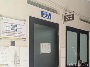 Rafa Korban Gigitan Ular Weling di Pekalongan 10 Hari Belum Sadar Rafa Korban Gigitan Ular Weling di Pekalongan 10 Hari Belum Sadar