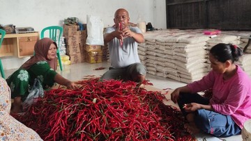 BRI Sokong Koperasi Pangan MBG, Rantai Pasok Terjaga.