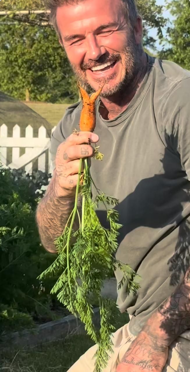 David Beckham memanen wortel di kebun yang ada di pekarangan rumahnya.