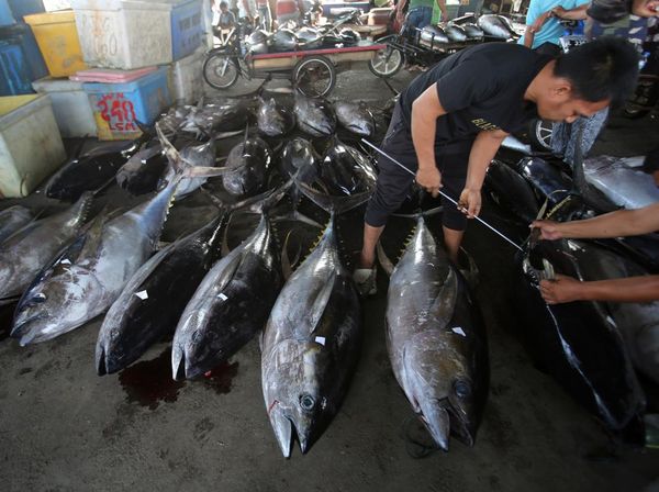 Cuaca Buruk Bikin Harga Ikan Tuna Naik di Banda Aceh