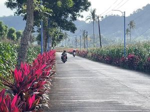 Cerita Kades Sumberagung Dampak Positif Kehadiran PT BSI di Banyuwangi