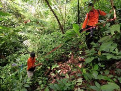 3 Tim Lanjut Cari Kakek Hilang di Gunung Salak, Susuri Sungai-Pakai Drone
