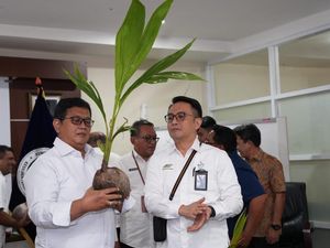 Wamentrans Dorong Budidaya Kelapa Genjah di Kawasan Transmigrasi