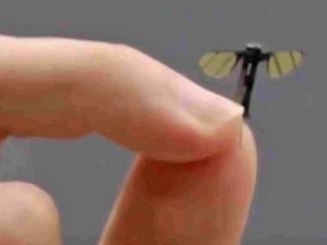 Drone Mata-mata Sebesar Nyamuk Made in China Drone Mata-mata Sebesar Nyamuk Made in China