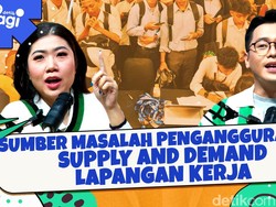 Fenomena Lulusan Sarjana Jadi Sopir hingga ART, Ada Apa?