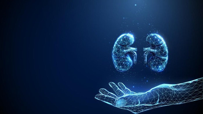 Ilustrasi ginjal. Abstract giving hand with human kidneys. Healthcare medical concept. Low poly futuristic technology digital neon style. Geometric background. Wireframe light connection structure. 3d graphic. Vector.