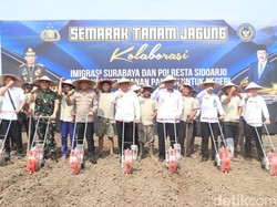 Imigrasi Surabaya-Polresta Sidoarjo Tanam Jagung Dukung Ketahanan Pangan