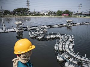 Listrik dari Atas Air, PLTS Terapung Tambaklorok Hasilkan Energi Bersih Listrik dari Atas Air, PLTS Terapung Tambaklorok Hasilkan Energi Bersih