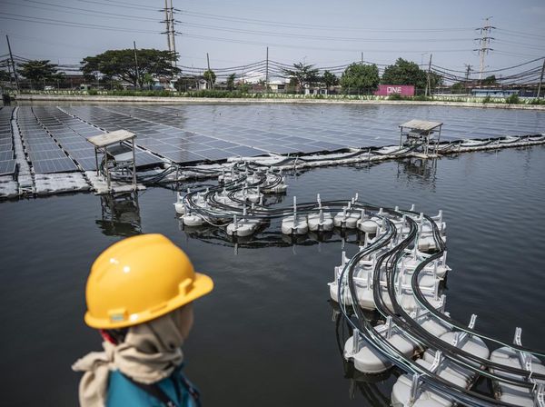 Listrik dari Atas Air, PLTS Terapung Tambaklorok Hasilkan Energi Bersih