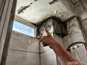 Tanda-tanda Dinding Rembes, Hati-hati Bisa Muncul Black Mold