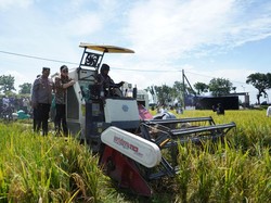 Terobosan Bupati Kediri Dongkrak Harga Gabah dan Semangat Petani