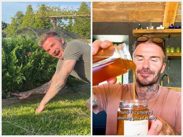 Pesona David Beckham Saat Panen Wortel hingga Jadi Peternak Lebah