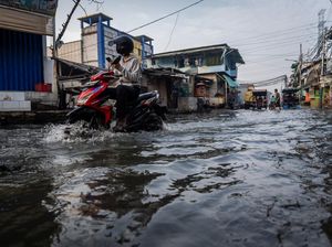 Rob Kepung Pesisir Jakarta, Warga Diminta Siaga! Rob Kepung Pesisir Jakarta, Warga Diminta Siaga!