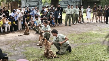 Solo Safari Gelar Funtasy Safari, Ada Gratis Tiket Anak!