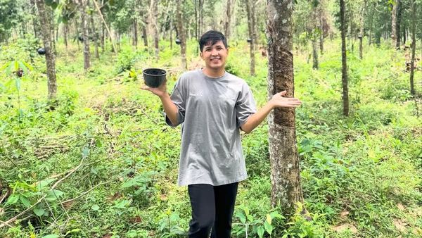 Kebun Karet 8.000 Meter Jirayut dan Keseruan Saat Liburan di Thailand