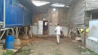 Ibu-Anak Ngungsi ke Kandang Ayam Pekalongan Usai Diperkosa-Diancam Pelaku