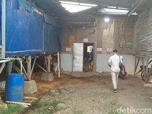 Ibu-Anak Ngungsi ke Kandang Ayam Pekalongan Usai Diperkosa-Diancam Pelaku