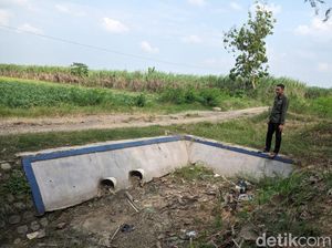 Jeritan Petani Desa Beringin Cirebon gegara 5 Tahun Krisis Air Jeritan Petani Desa Beringin Cirebon gegara 5 Tahun Krisis Air