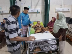 BKSDA Jambi Telusuri Kasus Petani Kayu Manis Diserang Harimau Sumatera