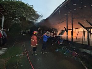Kandang di Karangasem Terbakar, 32 Ribu Ayam hingga Mobil Hangus Kandang di Karangasem Terbakar, 32 Ribu Ayam hingga Mobil Hangus