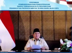 Prabowo Resmikan Pembangkit Listrik EBT di 15 Provinsi Senilai Rp 25 T