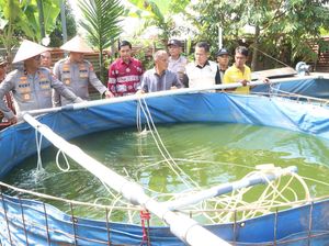 Brigjen Rudy Syafirudin Apresiasi Desa Percontohan P2B Banyuasin Brigjen Rudy Syafirudin Apresiasi Desa Percontohan P2B Banyuasin