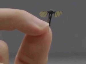 Drone Nyamuk China yang Jadi Andalan Spionase Drone Nyamuk China yang Jadi Andalan Spionase