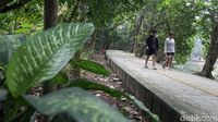 Jadi Paru-paru Jakbar, Hutan Kota Srengseng Bakal Ditata
