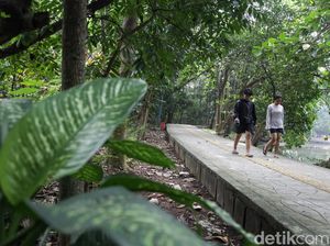 Jadi Paru-paru Jakbar, Hutan Kota Srengseng Bakal Ditata Jadi Paru-paru Jakbar, Hutan Kota Srengseng Bakal Ditata