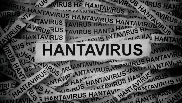 1462777049 Strips of newspaper with the words Hantavirus typed on them. Black and white. Close up.