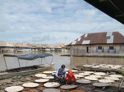 BRI Salurkan KUR Rp 69,8 Triliun ke 8,3 Juta UMKM di Indonesia