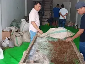 Polisi Bongkar Pabrik Rokok Ilegal di Lilirilau Soppeng Polisi Bongkar Pabrik Rokok Ilegal di Lilirilau Soppeng