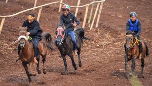 Serunya Festival Kuda Cibogo, Balapan sampai Atraksi Renggong