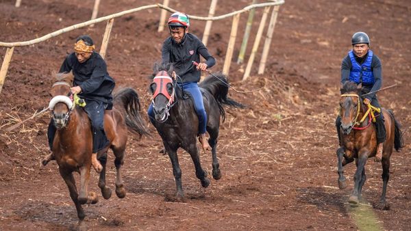 Serunya Festival Kuda Cibogo, Balapan sampai Atraksi Renggong