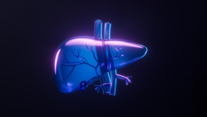 2113451169 Liver with dark neon light effect, 3d rendering. 3D illustration.