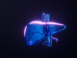 5 Gejala Liver Bermasalah yang Sering Diabaikan