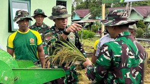 Dukung Swasembada Pangan, TNI Sulap Lahan Tidur di Papua Menjadi Sawah