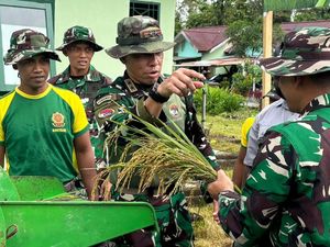 Dukung Swasembada Pangan, TNI Sulap Lahan Tidur di Papua Menjadi Sawah