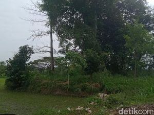Dulu Punya Banyak Arca, tapi Sekarang Gumuk Asu Tinggal Semak Belukar Dulu Punya Banyak Arca, tapi Sekarang Gumuk Asu Tinggal Semak Belukar