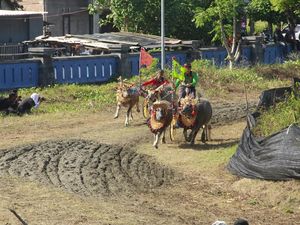 Sambut HUT Bhayangkara, Lomba Makepung Kapolda Cup 2025 Digelar di Jembrana Sambut HUT Bhayangkara, Lomba Makepung Kapolda Cup 2025 Digelar di Jembrana