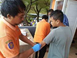 Wisatawan di Jogja Disengat Ubur-ubur, Dikira Bisa Ditangkap seperti Spongebob