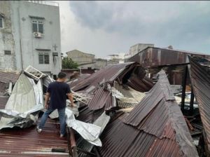 Puluhan Rumah dan 1 Sekolah di Sumut Rusak Akibat Angin Kencang-Pohon Tumbang
