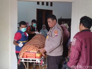 Setahun Buron, Midhol Sembunyi di Tengah Hutan Sawit Kalimantan Setahun Buron, Midhol Sembunyi di Tengah Hutan Sawit Kalimantan