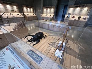 Animalium, Wisata Edukatif Seru di Bogor untuk Libur Sekolah Animalium, Wisata Edukatif Seru di Bogor untuk Libur Sekolah